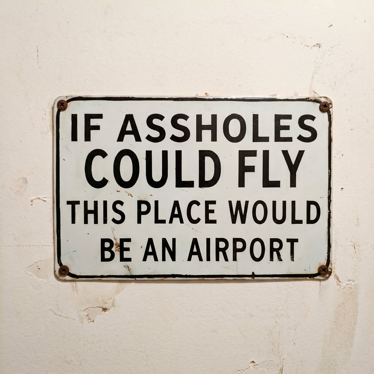 Funny "If Assholes Could Fly" Vintage Metal Sign – Hilarious Man Cave Wall Decor ✈️😂