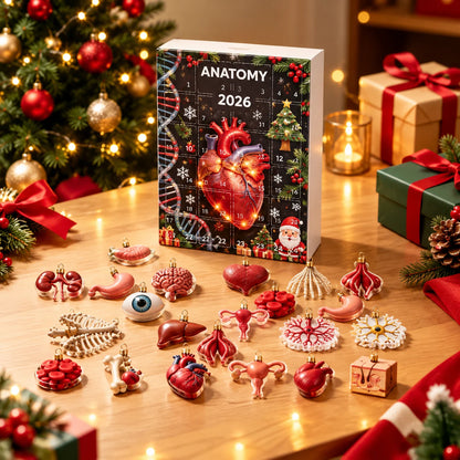 2026 Anatomy Advent Calendar