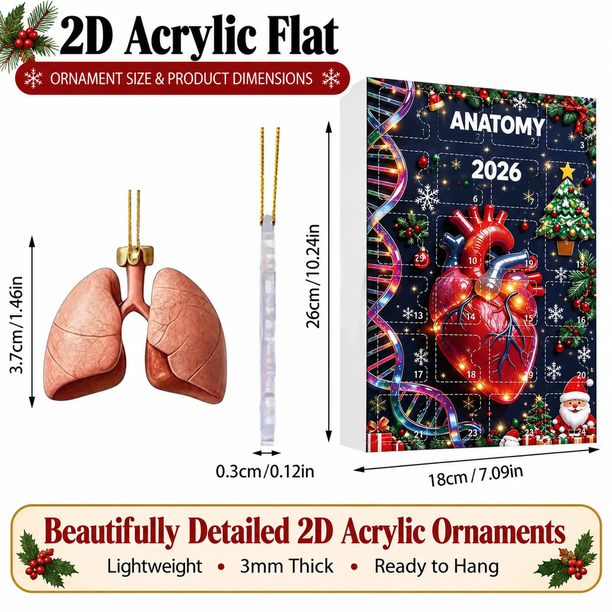 2026 Anatomy Advent Calendar