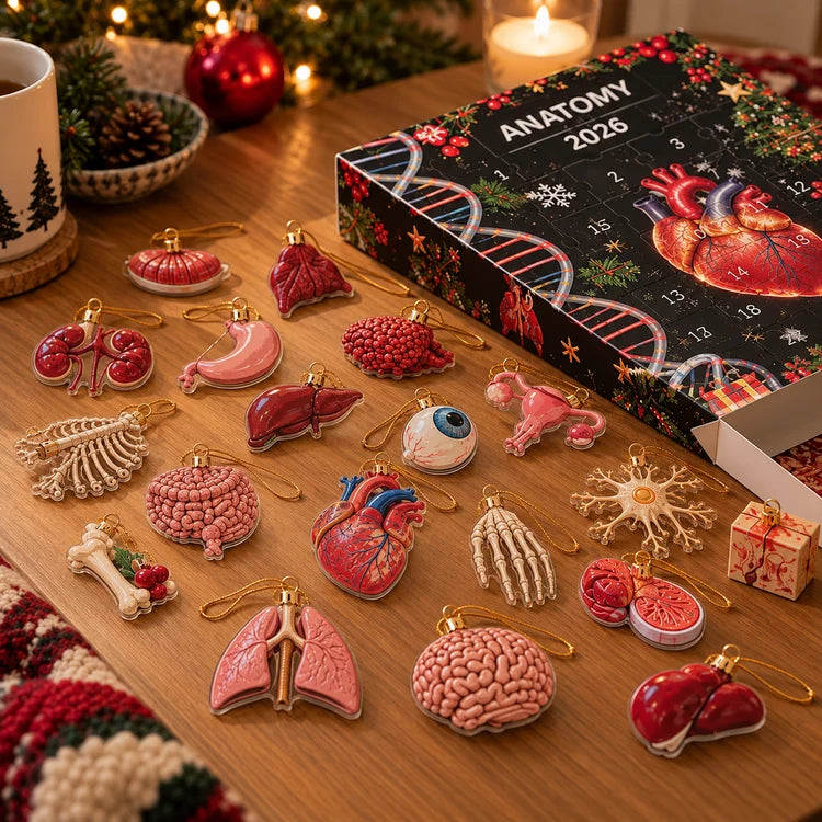 2026 Anatomy Advent Calendar