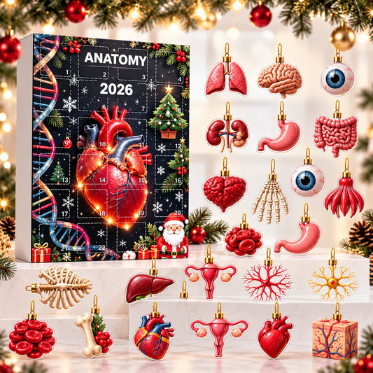 2026 Anatomy Advent Calendar