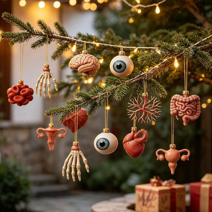 2026 Anatomy Advent Calendar